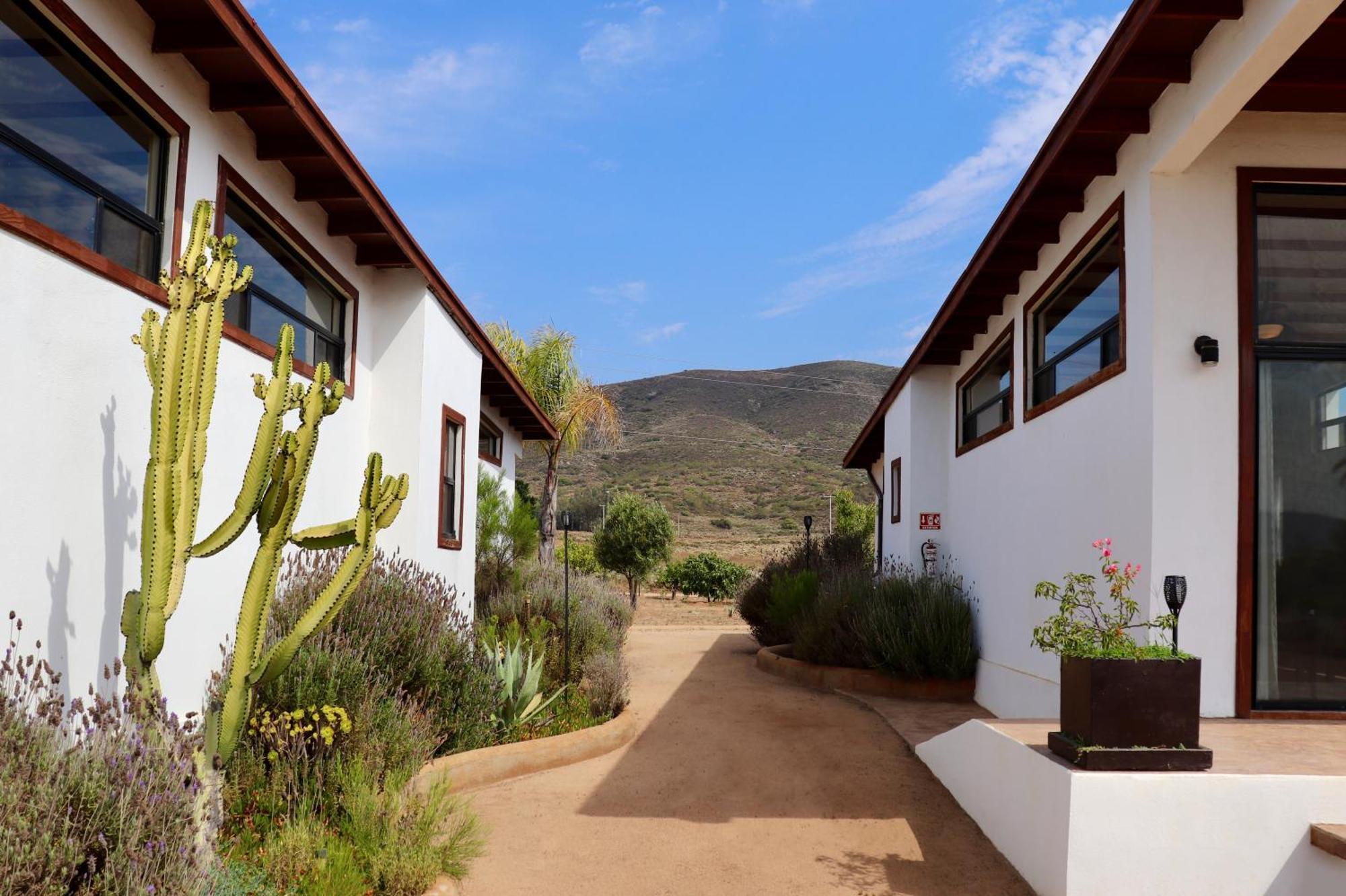 Villa Victoria, Valle De Guadalupe Exterior foto