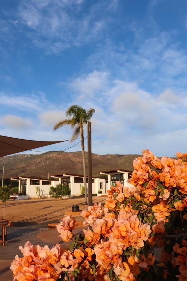 Villa Victoria, Valle De Guadalupe Exterior foto